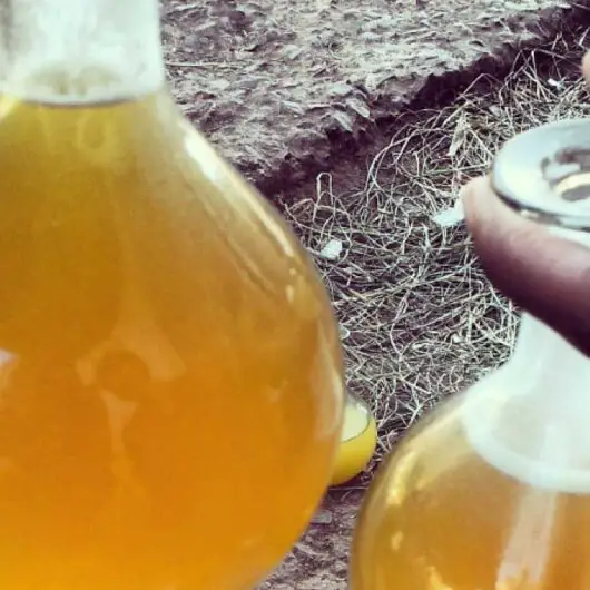 Tej Traditional Ethiopian Honey Wine