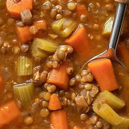 Lentil Vegetable Soup Recipe