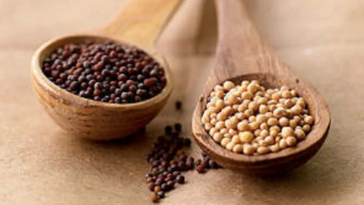Senafich Recipe: How to Make Spicy Ethiopian Mustard Seed Sauce